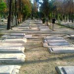 ببینید | دستگیری سلطان قبر تهران