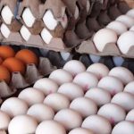 تخم‌مرغ چند نرخی شد/ هر شانه تخم مرغ ۲۵ یا ۳۵ هزار تومان؟