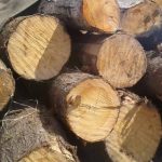 کشف ۳۴۰ کیلو چوب جنگلی قاچاق در “لردگان”