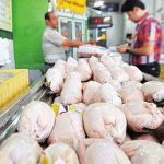 توزیع مرغ دولتی تا رسیدن بازار به قیمت مصوب ادامه دارد
