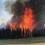 ببینید | تصاویر آخرالزمانی از آتش‌سوزی عظیم در جنگل‌های ایالت مونتانا